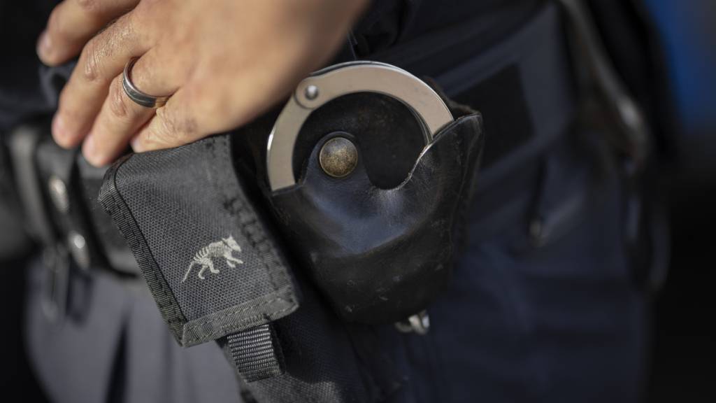 Die Luzerner Polizei hat einen international gesuchten mutmasslichen Verbrecher festgenommen. (Symbolbild)