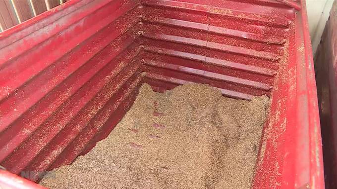 Metalldiebe unterwegs: Langfinger schlagen in Selzach und Lommiswil zu