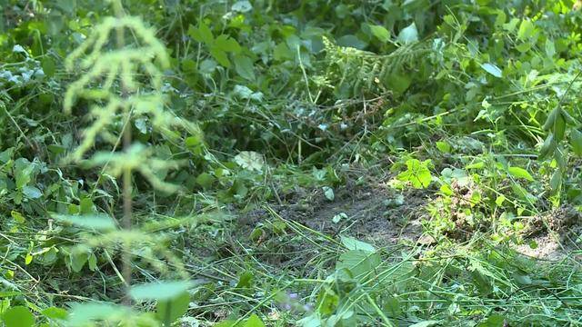 Tote von Orpund identifiziert