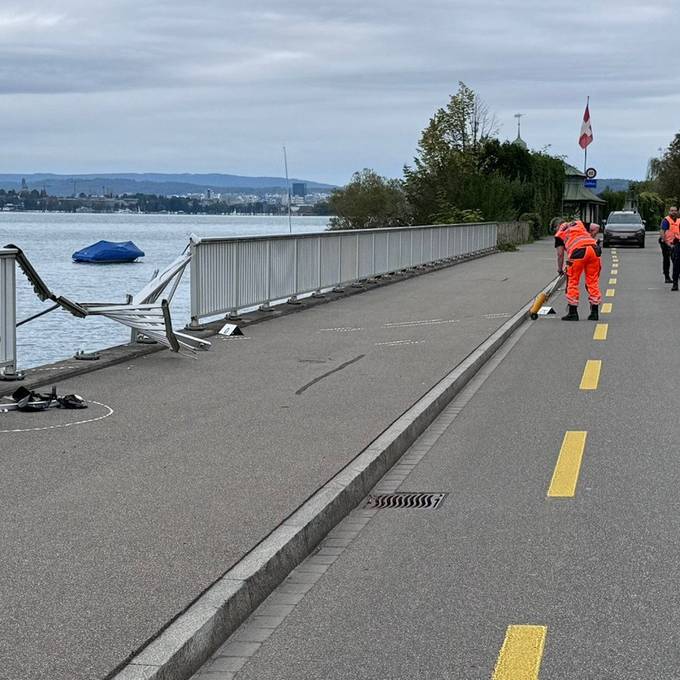 Auto stürzt in Zürichsee – Mann (42) in kritischem Zustand