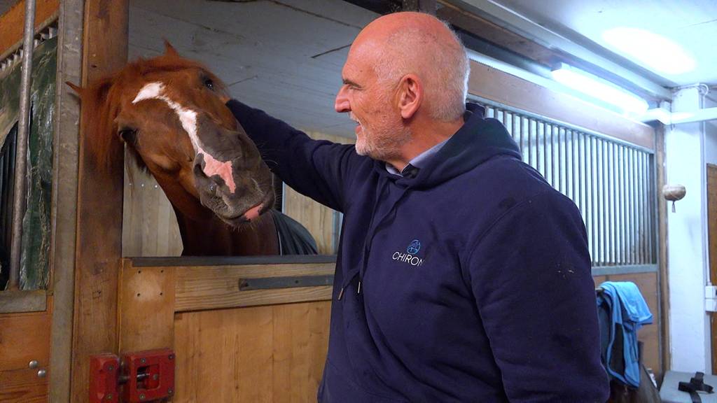 Chiropraktiker für Pferde: «Ich liebe diese Tiere»