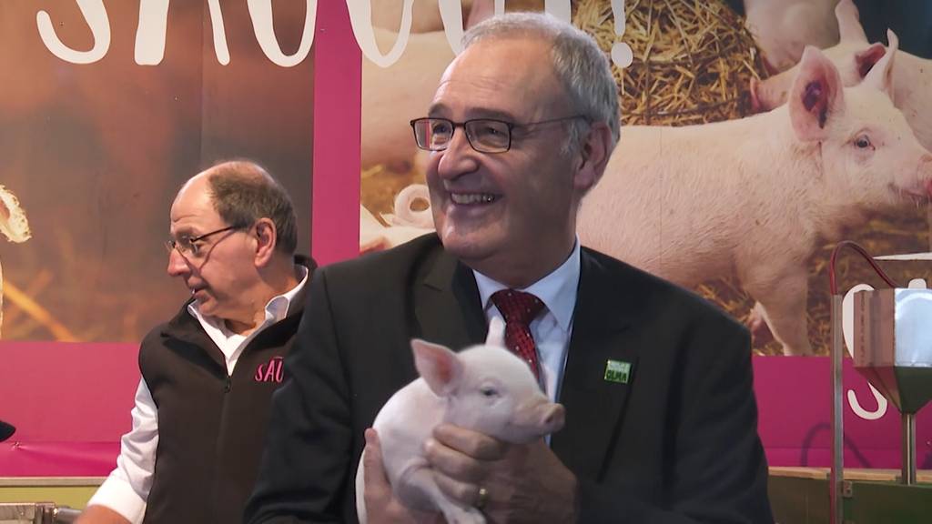 Rücktritt Parmelin: Vom Unterschätzten zum Staatsmann