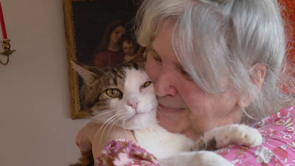 Jetzt redet die Frau, die Kater Balu aus dem Rhy-Brocki entführt hat