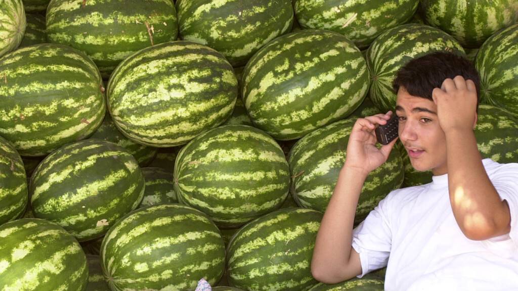 Der Preisdruck für Unternehmen in der Schweiz hat sich im Juli 2024 im Vormonatsvergleich kaum verändert. Der Gesamtindex der Produzenten- und Importpreise (PPI) stagnierte. Die Preise für importierte Melonen sind allerdings gesunken. (Archivbild)