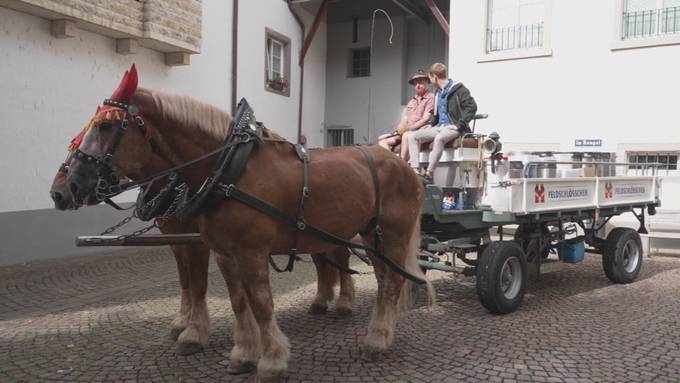 Auslieferung per Brauereipferd