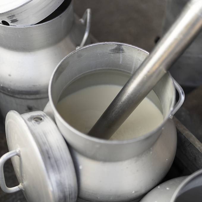 Branchenorganisation hebt Milchpreis um 3 Rappen an