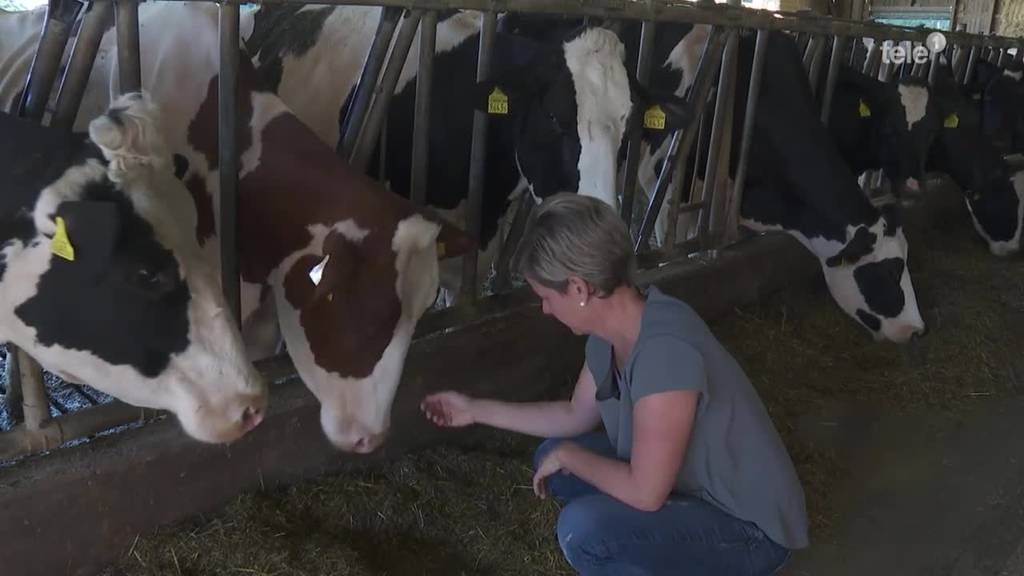 So entwickelt sich die Lage für Frauen in der Landwirtschaft