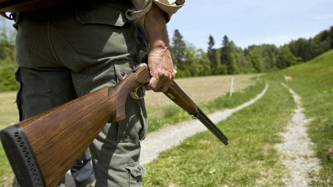 So reagiert der Aargauer Jagdverband über das geforderte Verbot von Blei-Munition