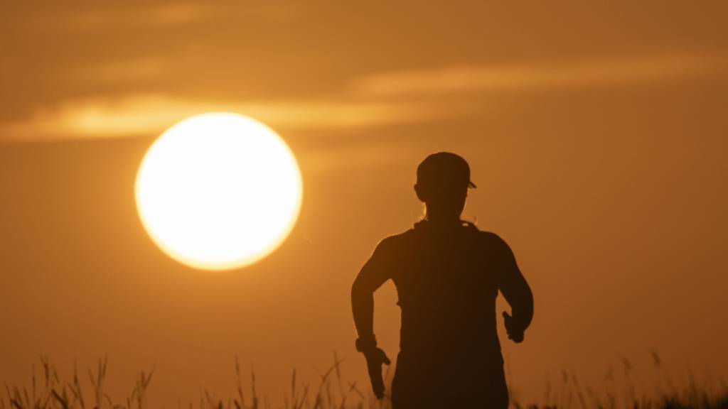 ARCHIV - Eine Frau joggt auf einem Feldweg bei Sonnenaufgang. Foto: Marijan Murat/dpa