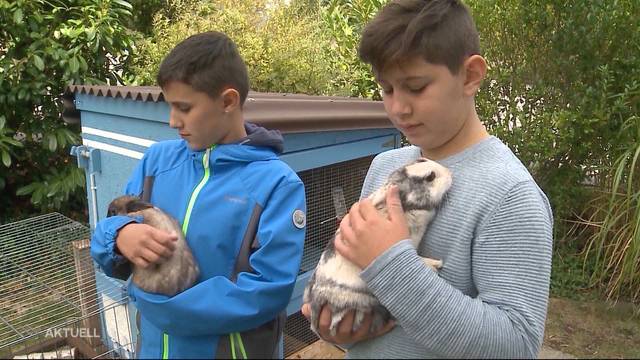 Hasen von Hund totgebissen: Happy End für Manuel