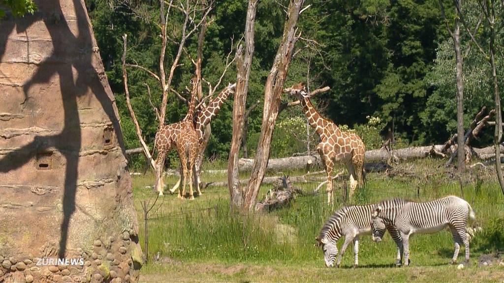 Zoos und Campingplätze dürfen bald wieder öffnen