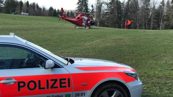 Landwirt verunfallt beim Holzen