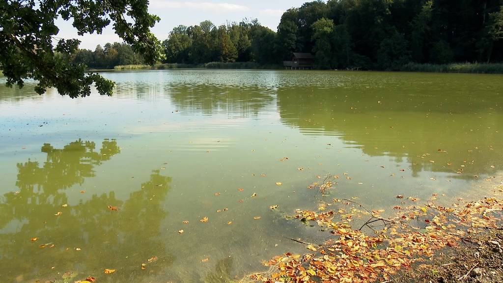 Warnung am Lengwiler Weiher