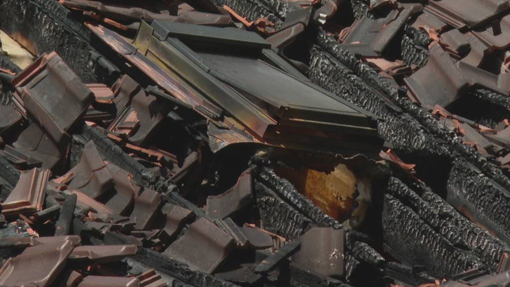 Brand in Hettiswil: Über 100 Tiere sterben