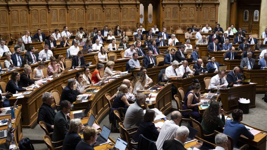 Die Debatte über die Anpassungen an den EU-Migrations- und -Asylpakt im Nationalrat war von vielen Zwischenfragen der SVP geprägt.