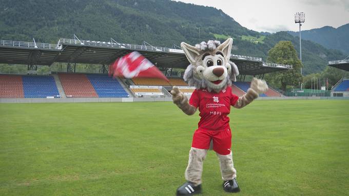 Job als Wolf gesucht? FC Vaduz sucht ein Maskottchen