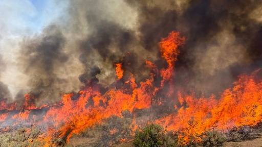 Löschhelikopter stürzt bei Waldbrand in Utah ab
