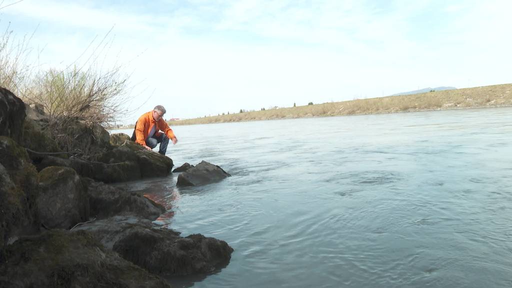 Kritik an Rhesi: WWF schiesst gegen Hochwasserprojekt