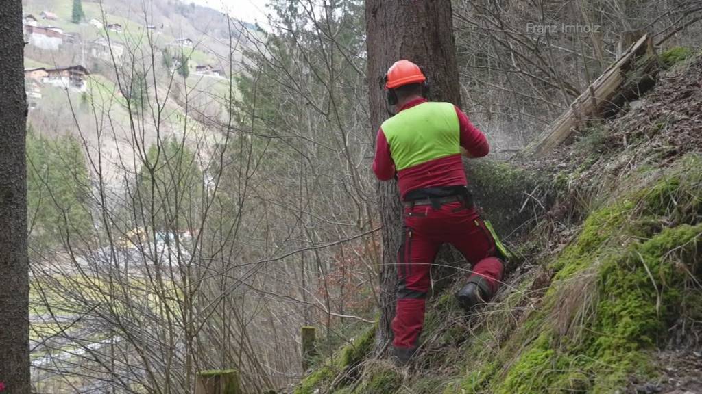 Film über das Holzen im Schächental