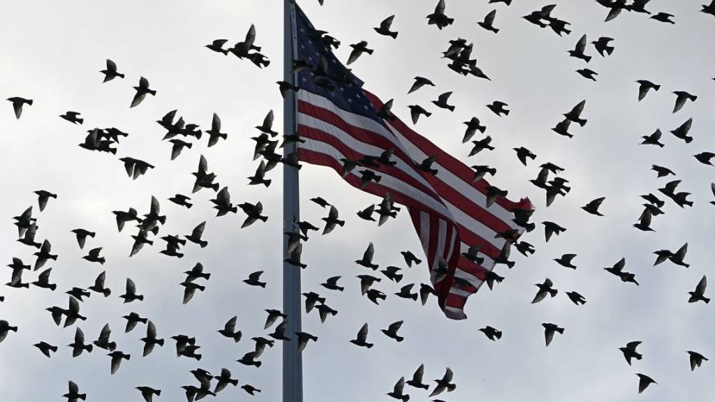Vögel fliegen an einer US-Flagge vorbei, die über dem Old Executive Office Building auf dem Gelände des Weißen Hauses in Washington weht. Bei einem Treffen am Wochenende hat sich die US-Delegation zu ersten Gesprächen mit den Taliban getroffen. Foto: Susan Walsh/AP/dpa