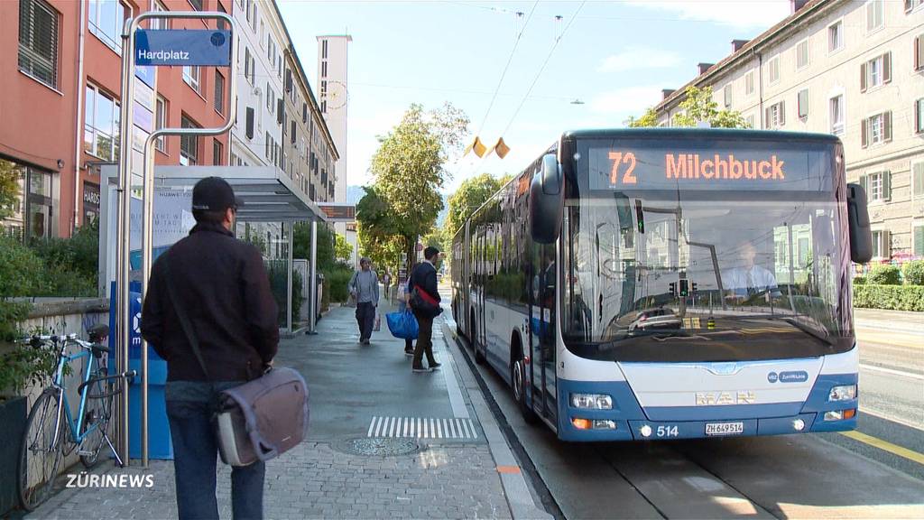 FCZ-Schläger bereits wieder auf freiem Fuss