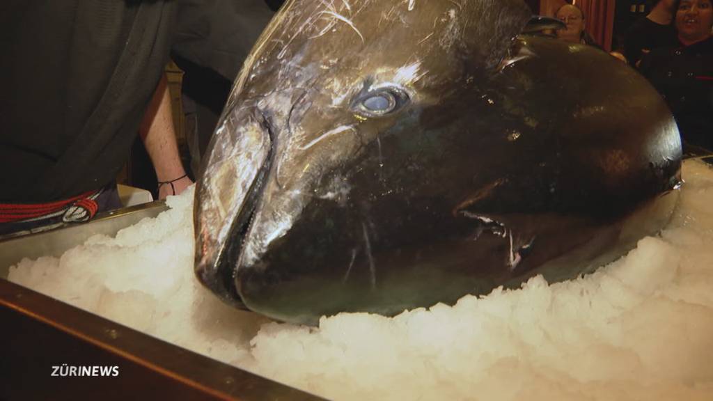 220-Kilo-Thunfisch für Zürich: Luxus-Sushi als Live-Erlebnis