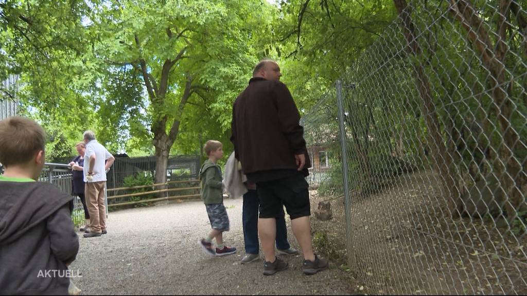 Für viele Freizeitbetriebe geht es nach langem Warten endlich wieder los