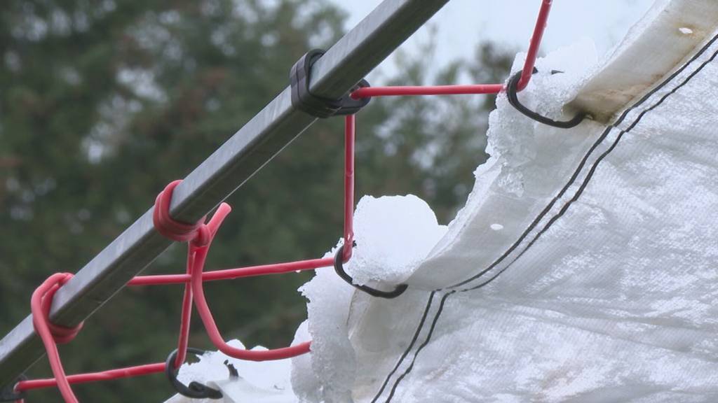 Berner Obstbauern kämpfen mit tiefen Temperaturen