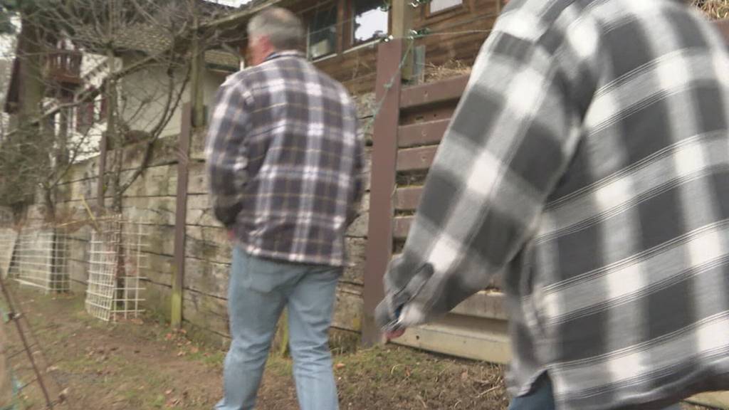 In Burg bei Menziken wurde ein Schaf gerissen – war es ein Wolf?
