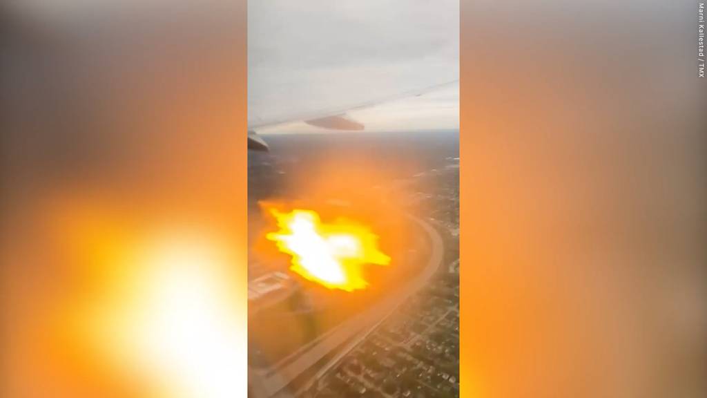 Gänse im Triebwerk: Flugzeug fängt kurz nach Start Feuer