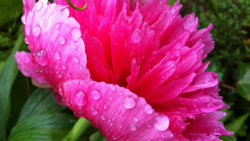 Willkommen Frühling!