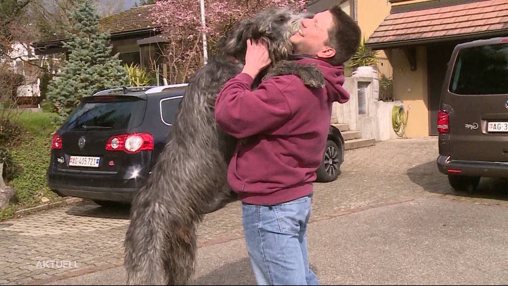 Nur wenige Zentimeter fehlen: Yvan ist fast der grösste Hund der Welt
