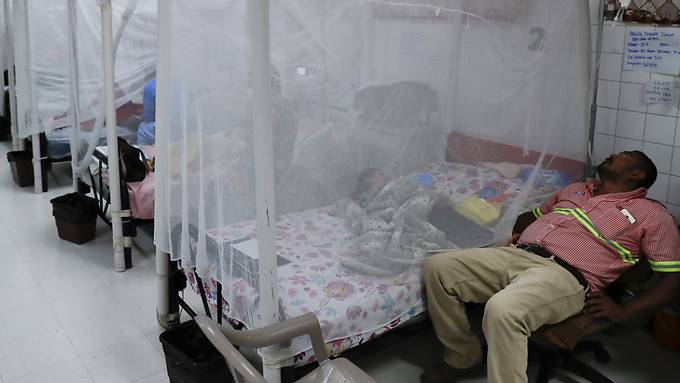 Schwerster Ausbruch von Dengue-Fieber 