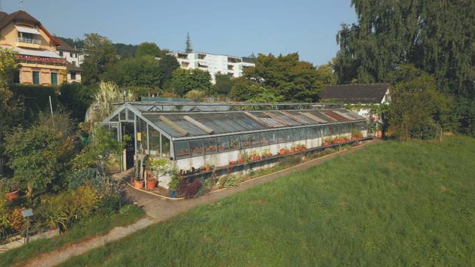 Andy Häberli zeigt botanischen Garten