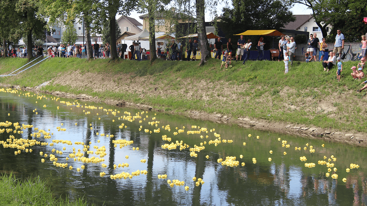 www.binnenfest.ch