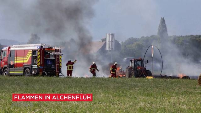 Schlagzeilen