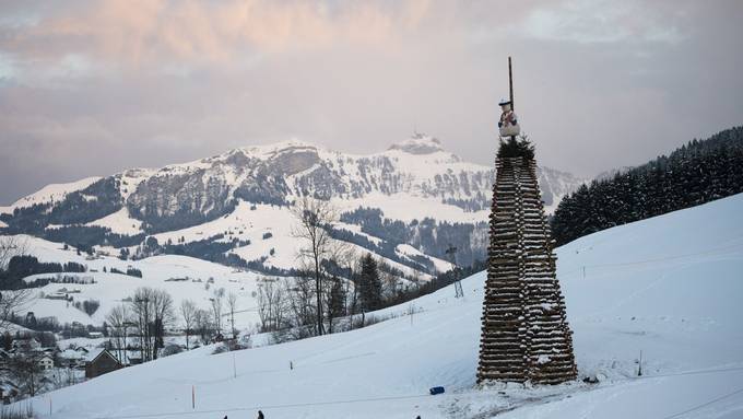 Sauen, Schlitten, St. Patrick und Funken