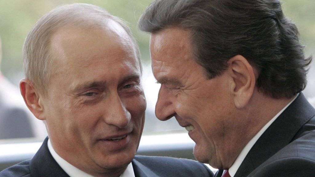 Der russische Präsident Wladimir Putin und der deutsche Altkanzler Gerhard Schröder sind gut miteinander befreundet. Jetzt hat Putin Schröder zum 75. Geburtstag herzlich gratuliert und ihn gewürdigt. (Archivbild)