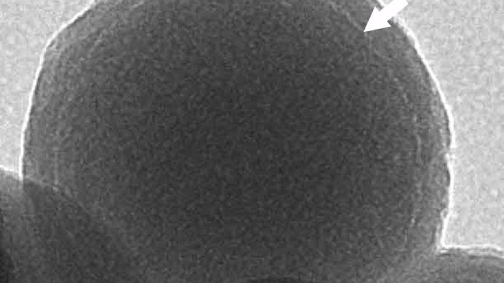 Ein Glaskügelchen von 160 Nanometern Durchmesser unter dem Mikroskop. In der hellen dünnen Schicht (Pfeil) liegen die DNA-Moleküle, welche die Audioinformation speichern.