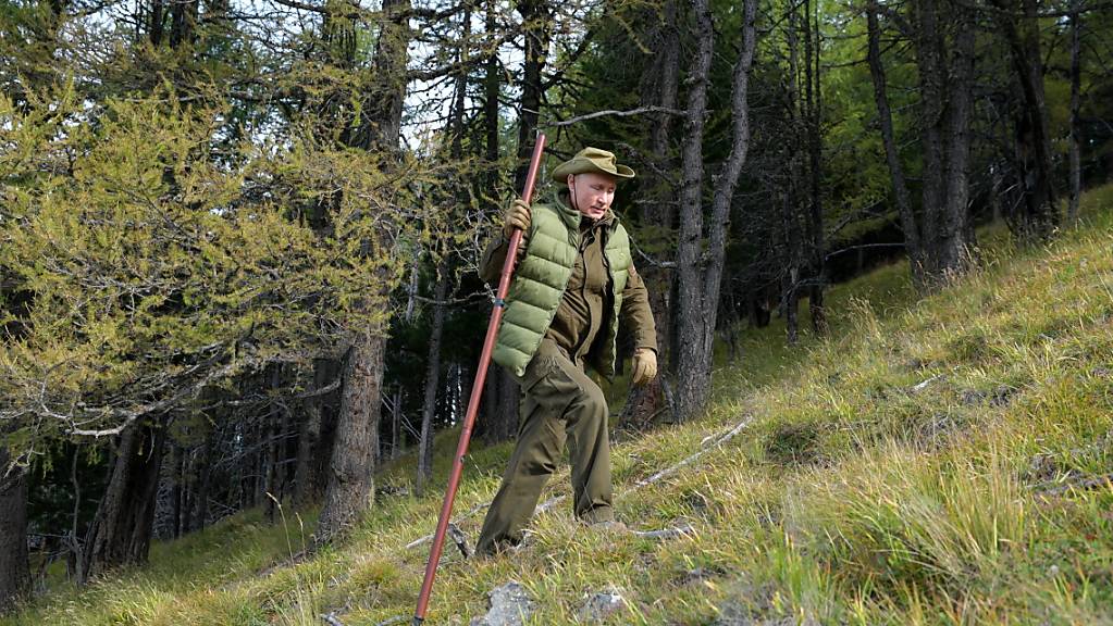 Immer wieder werden Fotos des russischen Präsidenten beim Abenteuerurlaub veröffentlicht. Seinen 67. Geburtstag feierte er beim Pilzesammeln in Sibirien.