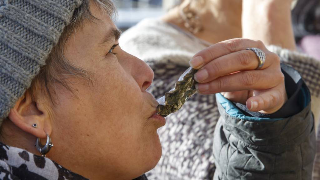Viele wagen den Versuch: Austern werden in der Schweiz öfters gekauft. (Archivbild)