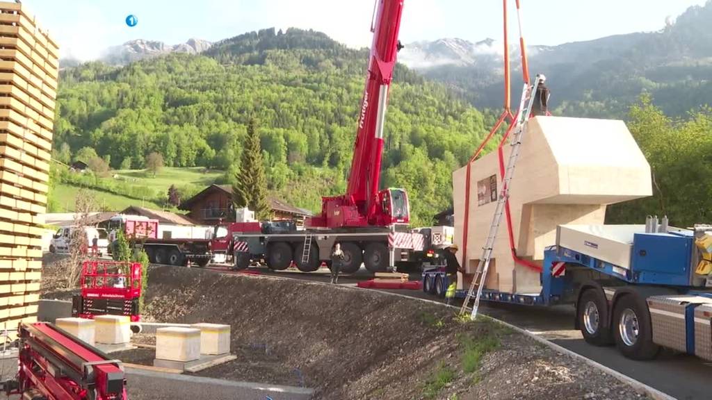 30 Tonnen Holzkuh aus Lungern wird über Brünig transportiert