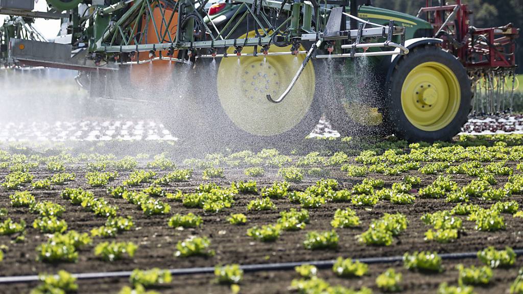 Illegaler Handel mit giftigen Chemikalien laut Forschern verbreitet