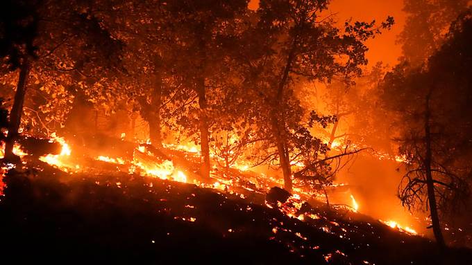 Gewaltige Brände: Anwohner sollen vor «Monsterfeuern» flüchten