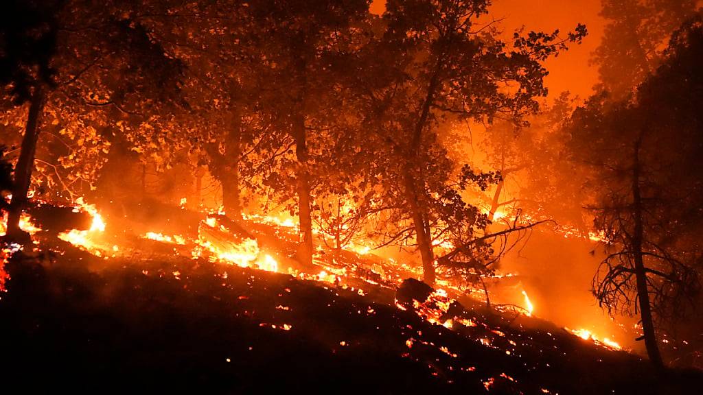 Das Bridge Fire brennt in der Nähe von Häusern in Wrightwood. Foto: Jae C. Hong/AP/dpa