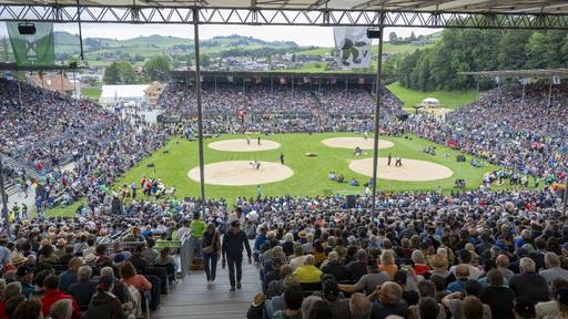 Am Jubiläumsschwinget in Appenzell trumpften die Jungen aus der Region gross auf