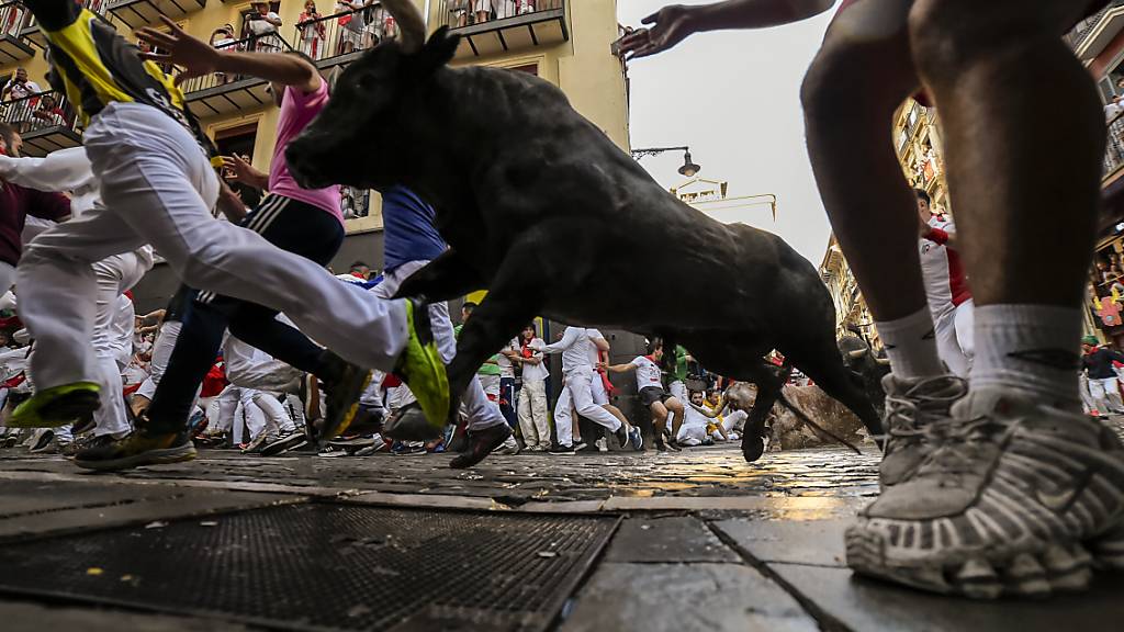dpatopbilder - Männer treiben Kampfstiere von Jose Escolar Gil am zweiten Tag des Stiertreibens während des «Sanfermines»-Festes durch die Gassen des Ortes. Auch bei der zweiten Stierhatz während des diesjährigen «Sanfermines»-Festes sind am Samstagmorgen in Pamplona im Norden Spaniens mehrere Menschen verletzt worden. Foto: Alvaro Barrientos/AP