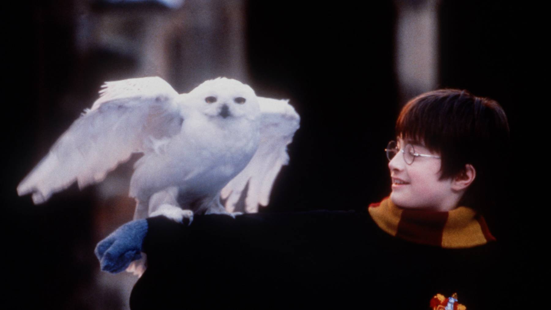 Die Figur Harry Potter wird heute 40 Jahre alt.