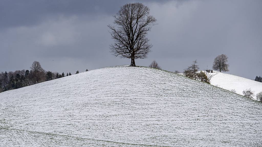 Eine Kaltfront bringt den Winter zurück: Überzuckerte Landschaft in Sattel SZ am Mittwoch.