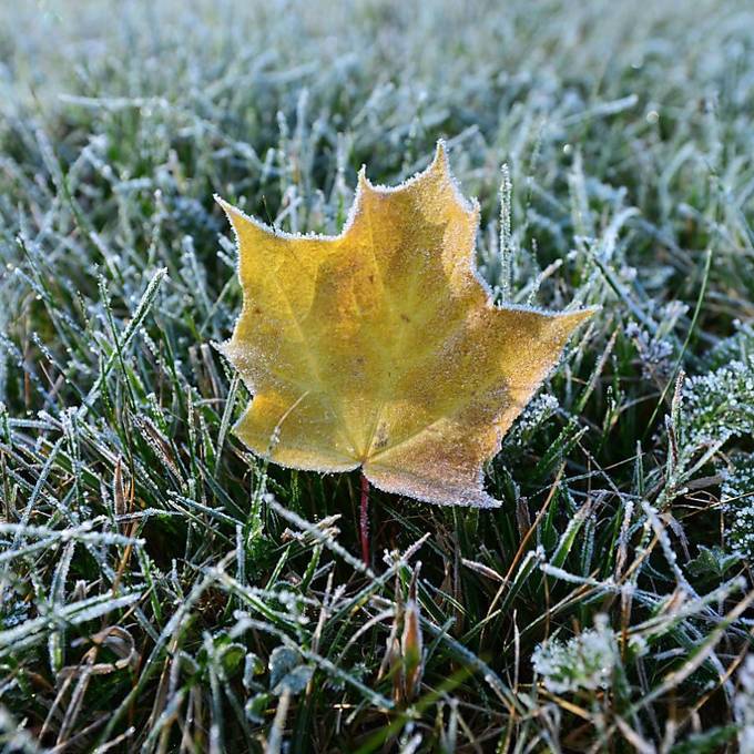 Erster Frost in diesem meteorologischen Herbst